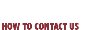How to contact Stock Search International